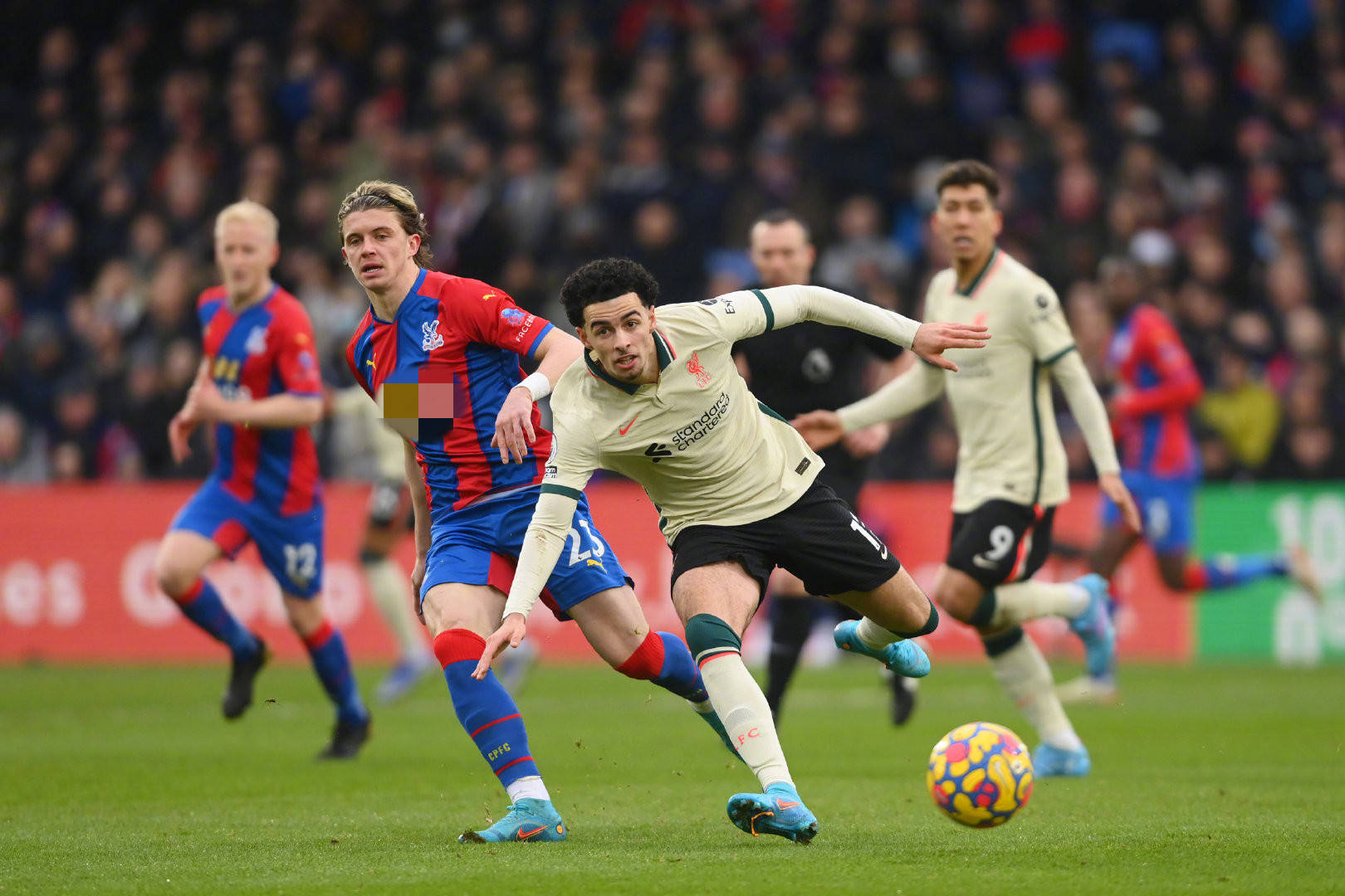 理并非个例 理并非个例